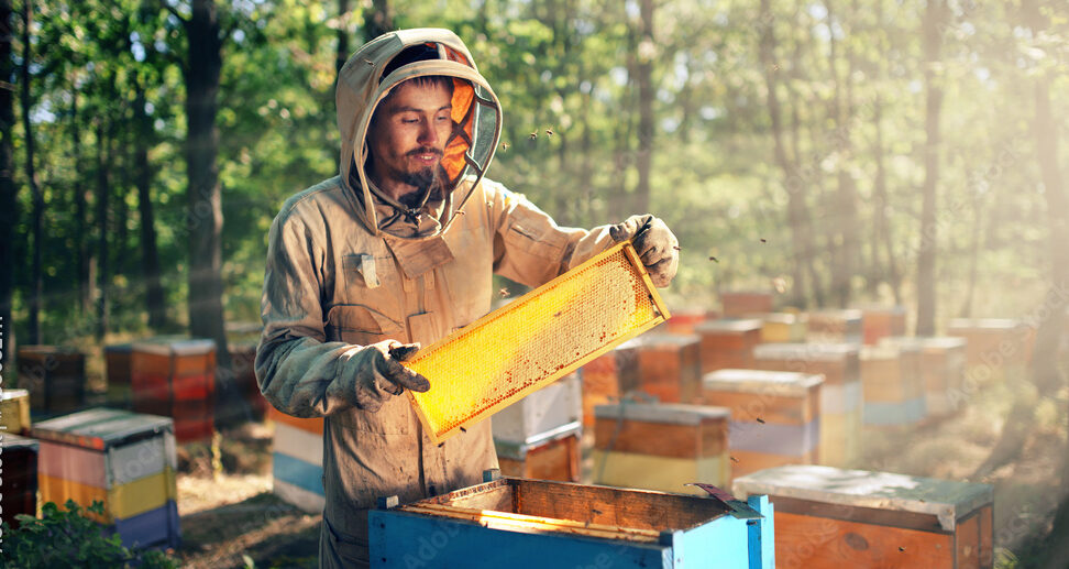 Manifesto Integrapis